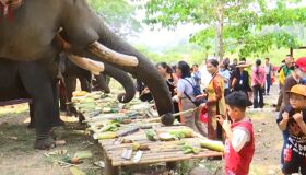 Experience Vietnam’s heritage with visa-prepared tours